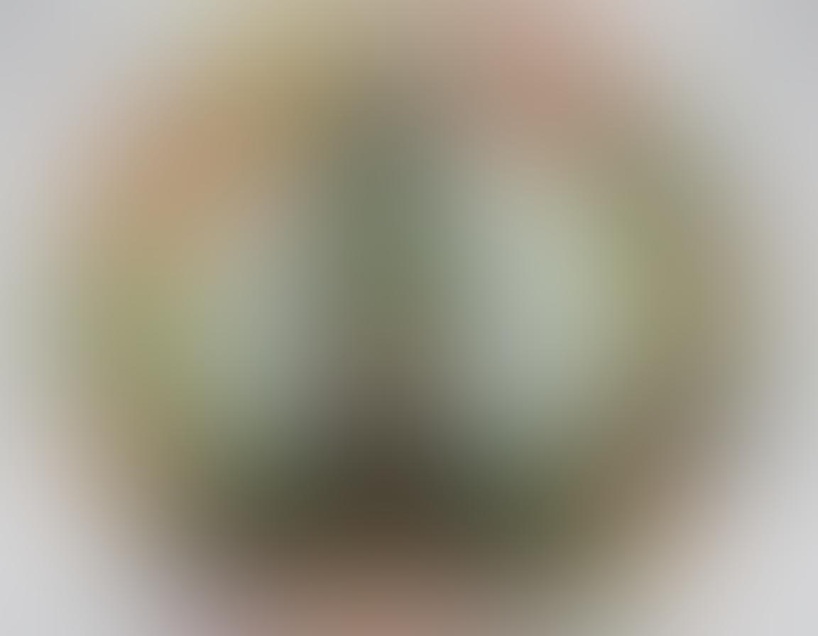 A vibrant illustration of a glowing human silhouette filled with colorful fruits, vegetables, and herbs symbolizing a strong immune system. Surrounding the silhouette, swirling patterns of light represent energy and wellness, with small icons of yoga, meditation, and sunlight. The background features a soft, calming green gradient, evoking a sense of health and vitality. super-realistic. vibrant colors. white background.